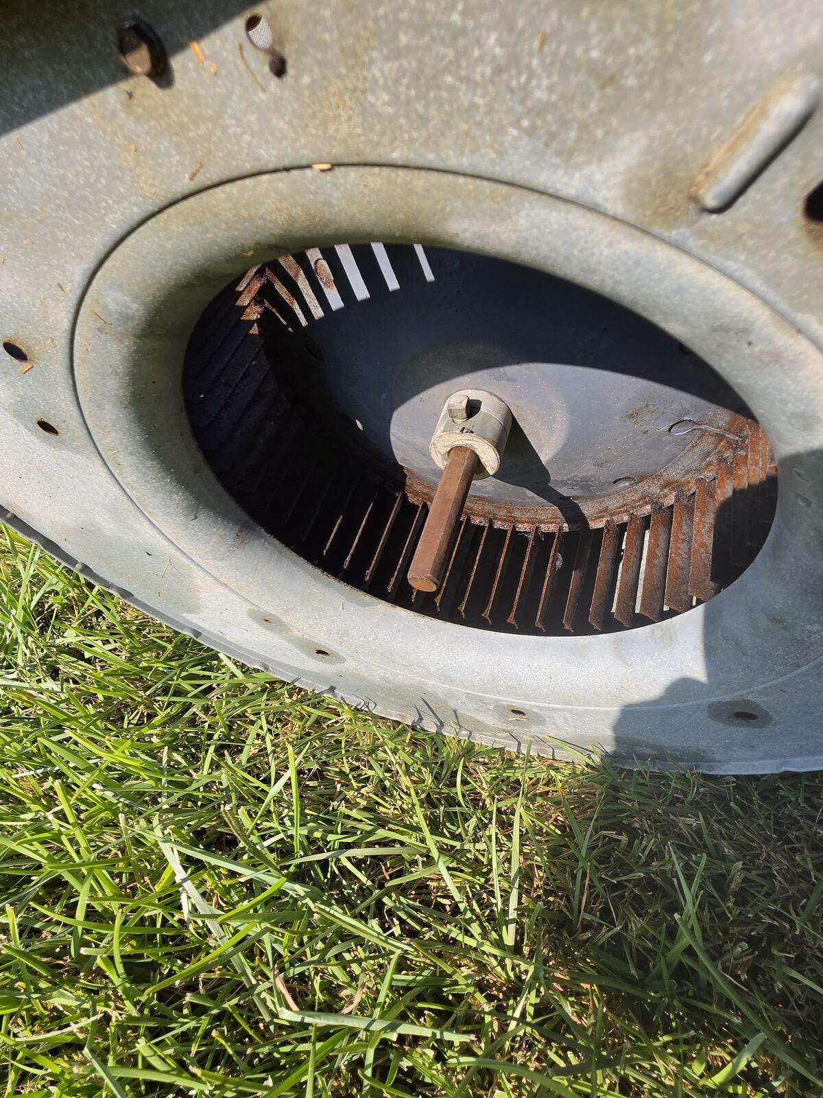 Blower wheel after cleaning, vanes clear