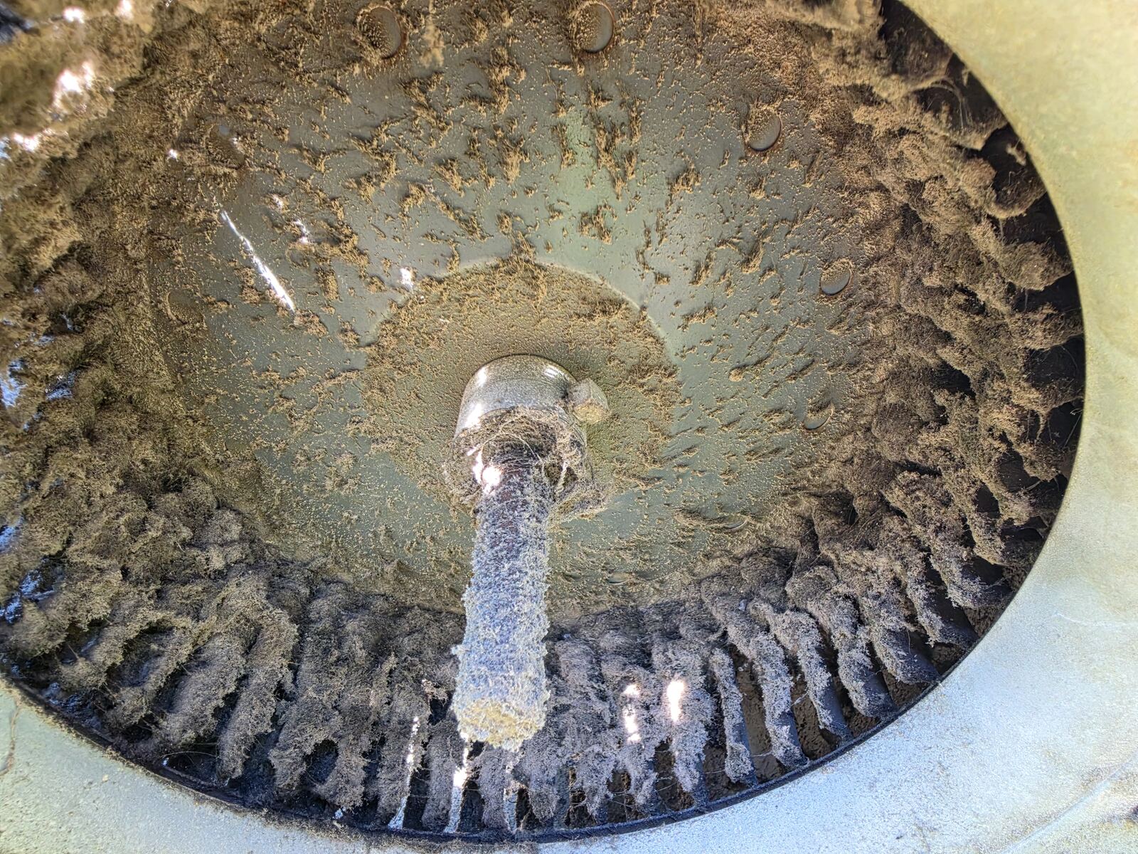 Dust-packed blower wheel before cleaning on a Texarkana service call